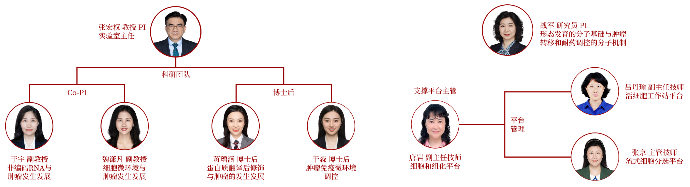 行政架构png.png