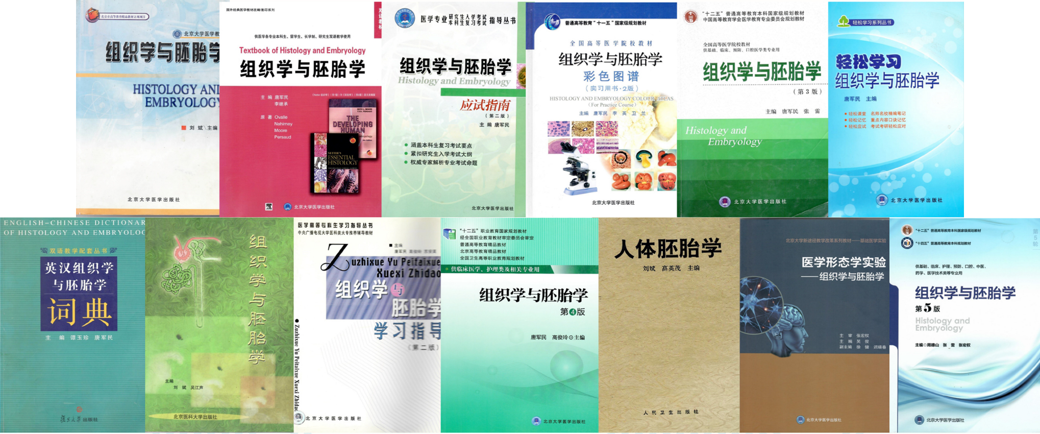 dbe4511c43424df6a3a885fea79af0cc.png